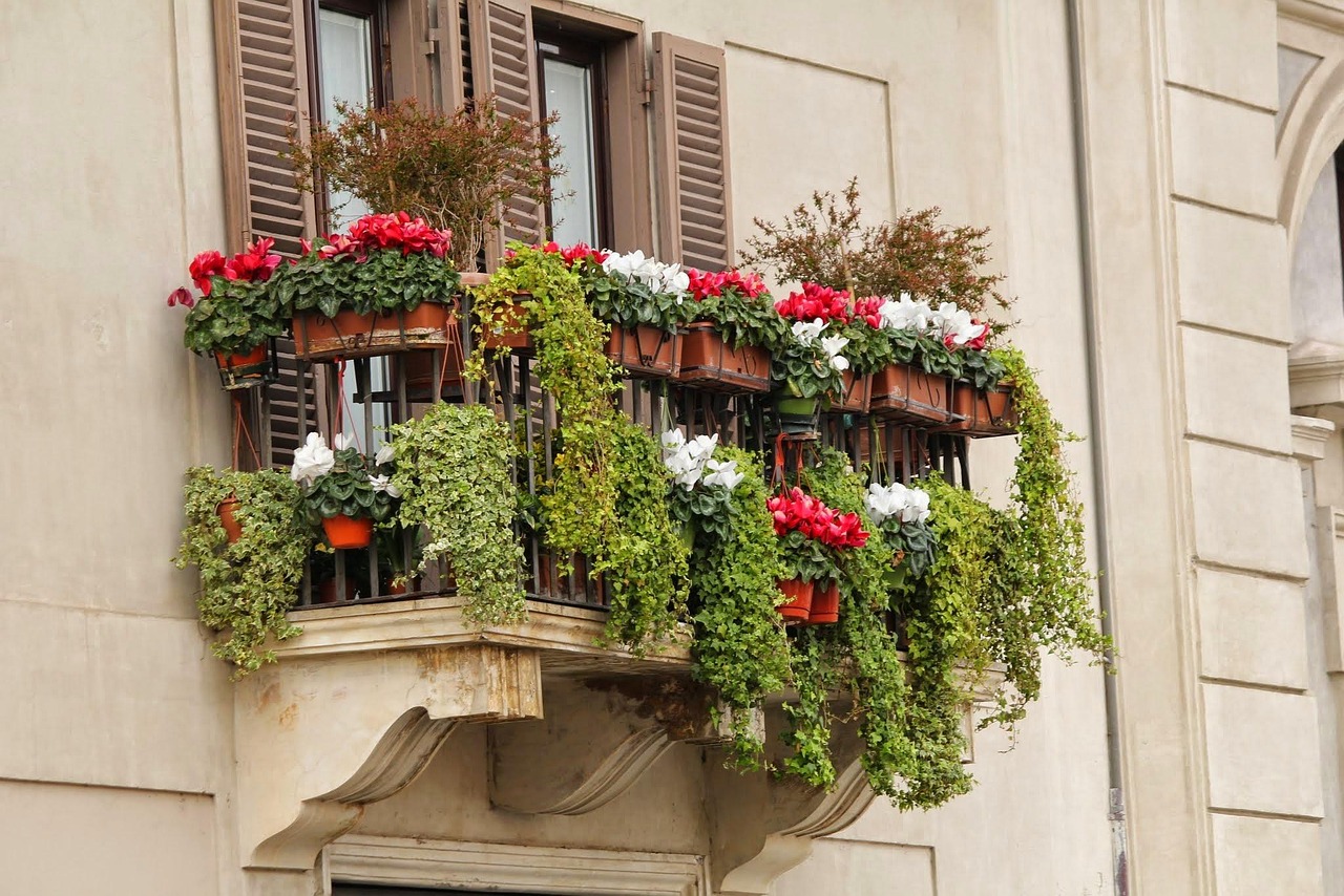 Piante in vaso sul balcone, pronte per essere coltivate a gennaio nonostante il freddo.